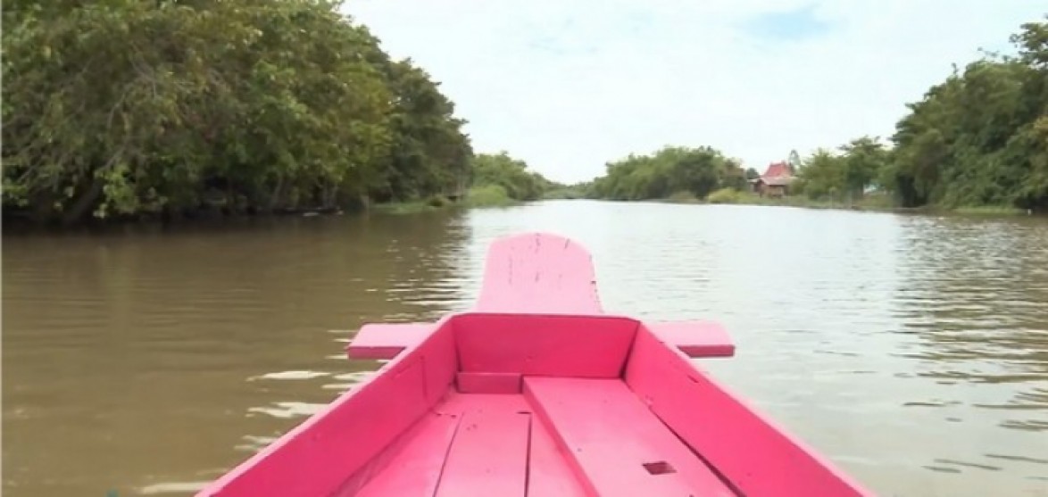 sampleprop